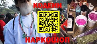 гашик Кингисепп