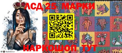 гашик Кингисепп