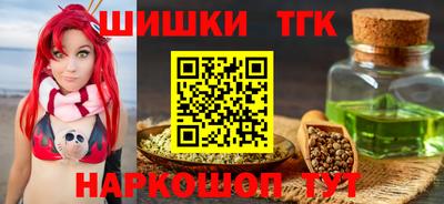 гашик Кингисепп