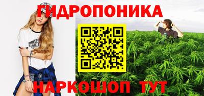 spice Коммунар