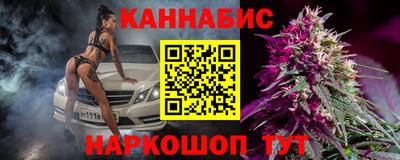 гашик Кингисепп