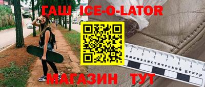 гашик Кингисепп