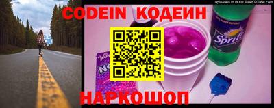 гашик Кингисепп