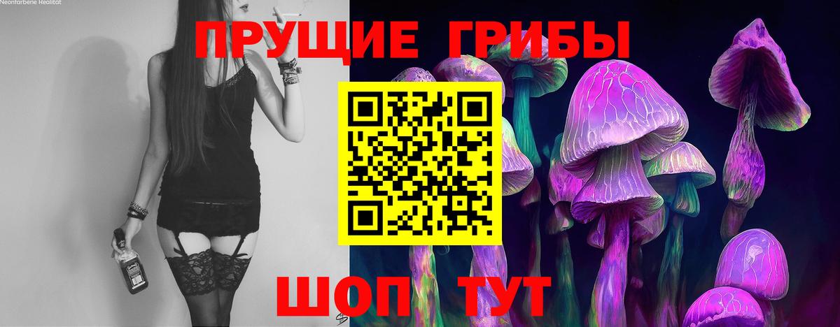 Галлюциногенные грибы Psilocybe  Вход с VPN  Элиста 