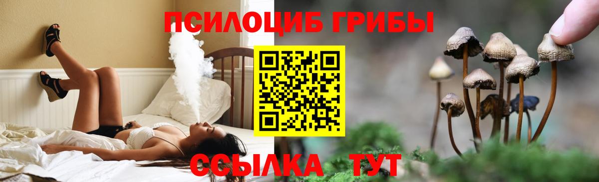 Галлюциногенные грибы Cubensis Элиста